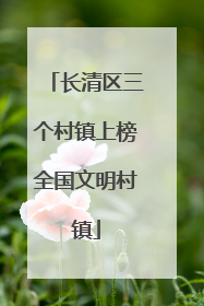 长清区三个村镇上榜全国文明村镇