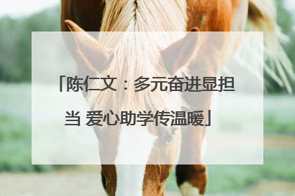 陈仁文：多元奋进显担当 爱心助学传温暖