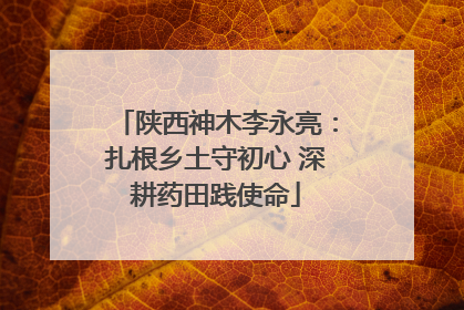陕西神木李永亮：扎根乡土守初心 深耕药田践使命