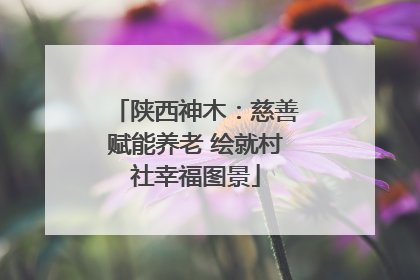 陕西神木：慈善赋能养老 绘就村社幸福图景