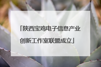 陕西宝鸡电子信息产业创新工作室联盟成立