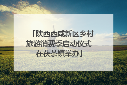 陕西西咸新区乡村旅游消费季启动仪式在茯茶镇举办