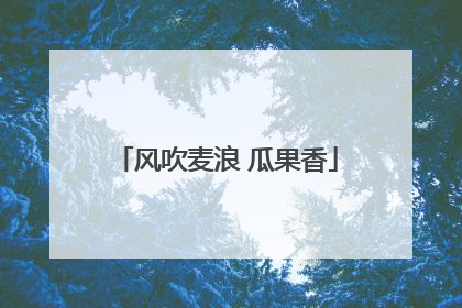 风吹麦浪 瓜果香