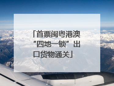 首票闽粤港澳“四地一锁”出口货物通关