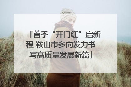 首季“开门红”启新程 鞍山市多向发力书写高质量发展新篇