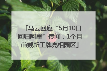 马云回应“5月10日回归阿里”传闻，1个月前戴新工牌亮相园区