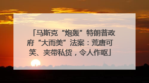 马斯克“炮轰”特朗普政府“大而美”法案：荒唐可笑、夹带私货，令人作呕