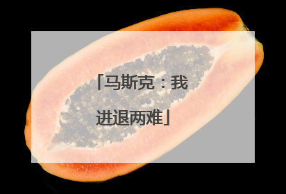 马斯克：我进退两难