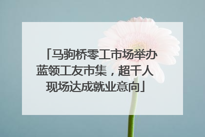 马驹桥零工市场举办蓝领工友市集，超千人现场达成就业意向