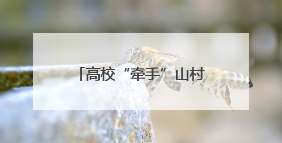 高校“牵手”山村 中药文化点燃乡村振兴“新火花”