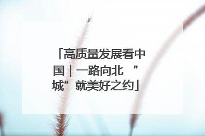 高质量发展看中国｜一路向北 “城”就美好之约