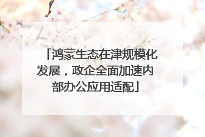 鸿蒙生态在津规模化发展，政企全面加速内部办公应用适配