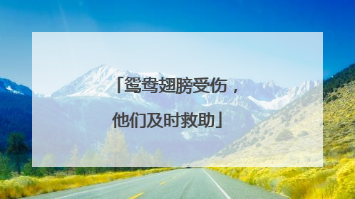 鸳鸯翅膀受伤，他们及时救助