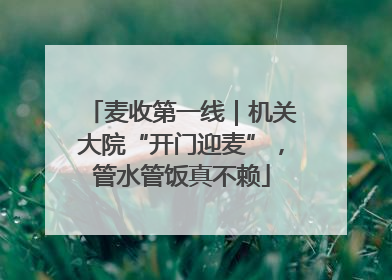 麦收第一线｜机关大院“开门迎麦”，管水管饭真不赖