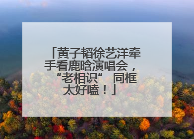 黄子韬徐艺洋牵手看鹿晗演唱会，“老相识” 同框太好嗑！