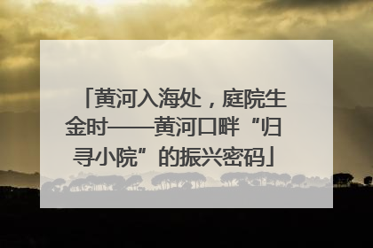 黄河入海处，庭院生金时——黄河口畔“归寻小院”的振兴密码