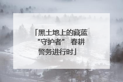 黑土地上的藏蓝“守护者” 春耕警务进行时