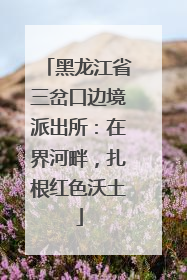 黑龙江省三岔口边境派出所：在界河畔，扎根红色沃土