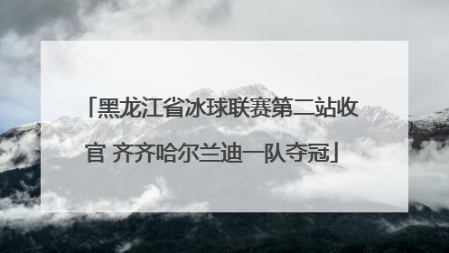 黑龙江省冰球联赛第二站收官 齐齐哈尔兰迪一队夺冠