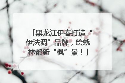 黑龙江伊春打造“伊法调”品牌，绘就林都新“枫”景！