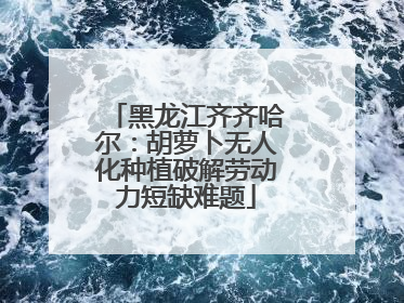 黑龙江齐齐哈尔：胡萝卜无人化种植破解劳动力短缺难题