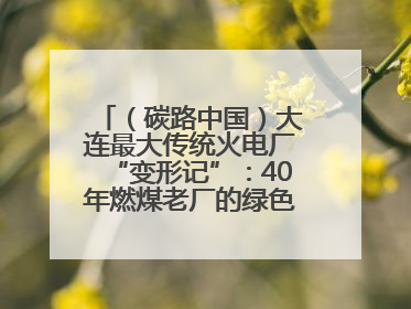 （碳路中国）大连最大传统火电厂“变形记”：40年燃煤老厂的绿色转型之路