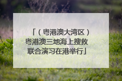 （粤港澳大湾区）粤港澳三地海上搜救联合演习在港举行