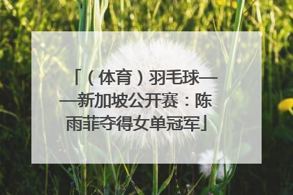 （体育）羽毛球——新加坡公开赛：陈雨菲夺得女单冠军