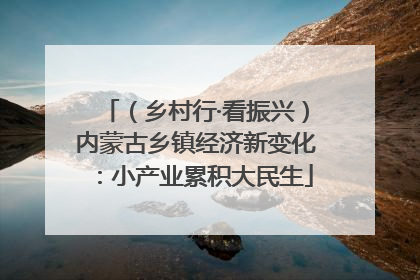 （乡村行·看振兴）内蒙古乡镇经济新变化：小产业累积大民生