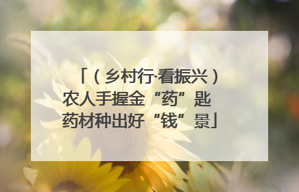 （乡村行·看振兴）农人手握金“药”匙 药材种出好“钱”景