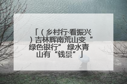 （乡村行·看振兴）吉林辉南荒山变“绿色银行” 绿水青山有“钱景”