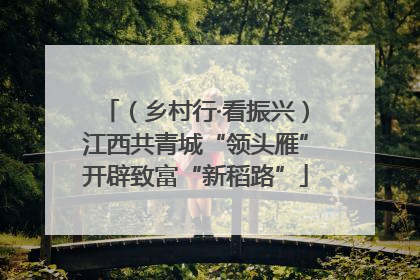 （乡村行·看振兴）江西共青城“领头雁”开辟致富“新稻路”