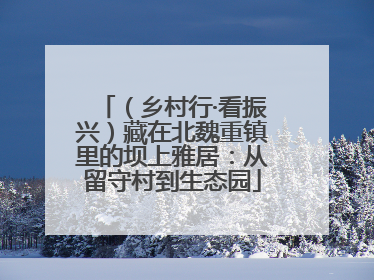 （乡村行·看振兴）藏在北魏重镇里的坝上雅居：从留守村到生态园
