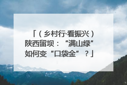 （乡村行·看振兴）陕西留坝：“满山绿”如何变“口袋金”？