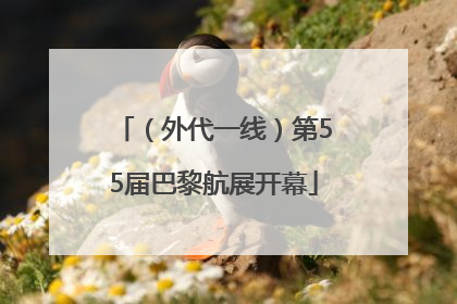 （外代一线）第55届巴黎航展开幕