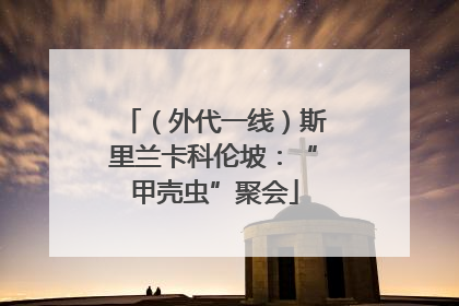 （外代一线）斯里兰卡科伦坡：“甲壳虫”聚会