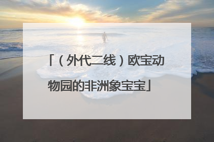 （外代二线）欧宝动物园的非洲象宝宝