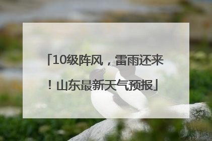 10级阵风，雷雨还来！山东最新天气预报