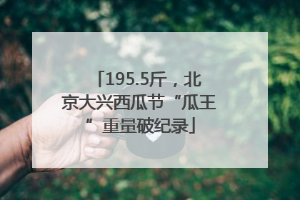 195.5斤，北京大兴西瓜节“瓜王”重量破纪录