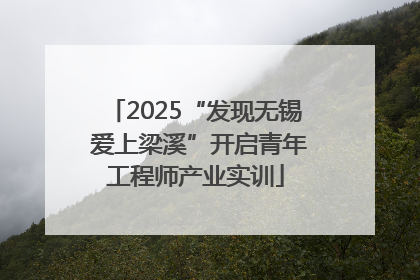 2025“发现无锡 爱上梁溪”开启青年工程师产业实训