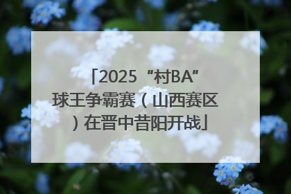 2025“村BA”球王争霸赛（山西赛区）在晋中昔阳开战