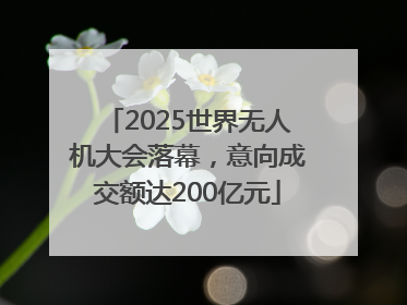 2025世界无人机大会落幕，意向成交额达200亿元