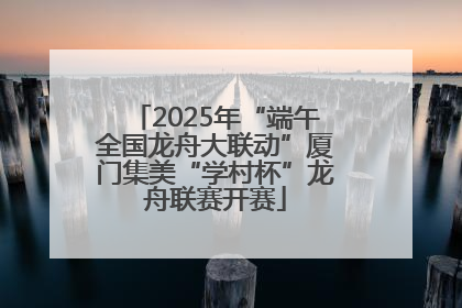 2025年“端午全国龙舟大联动”厦门集美“学村杯”龙舟联赛开赛