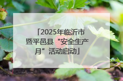 2025年临沂市暨平邑县“安全生产月”活动启动