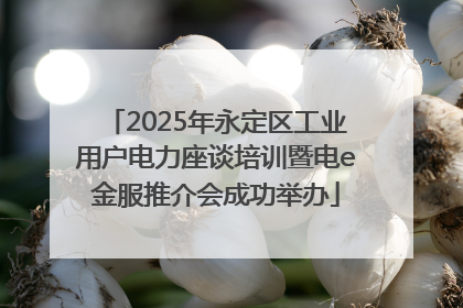 2025年永定区工业用户电力座谈培训暨电e金服推介会成功举办