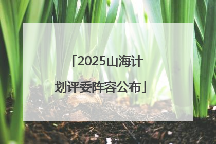 2025山海计划评委阵容公布