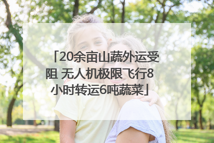 20余亩山蔬外运受阻 无人机极限飞行8小时转运6吨蔬菜