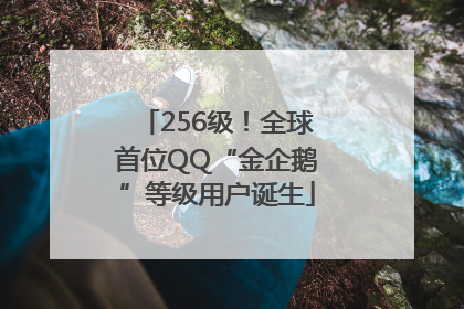 256级！全球首位QQ“金企鹅”等级用户诞生