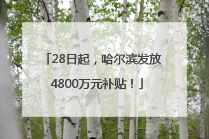 28日起，哈尔滨发放4800万元补贴！
