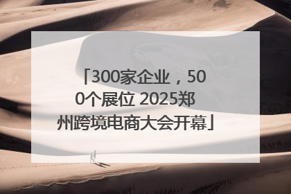 300家企业，500个展位 2025郑州跨境电商大会开幕